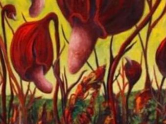 Maggie de Koenigsberg - Se inflan con brisas matinales - 2008