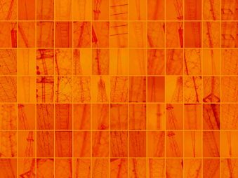 Martin Gurfein - Invisible/ Amarillo 1, fotografia, detalle de obra.